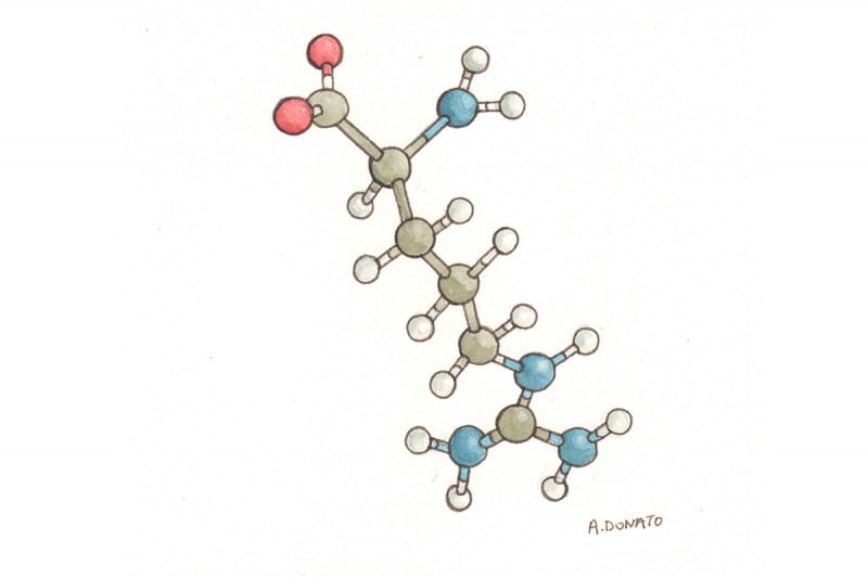Arginine0002_3x2