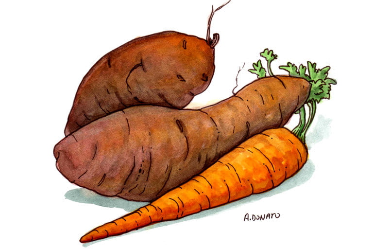 Beta-Carotene001_3x2