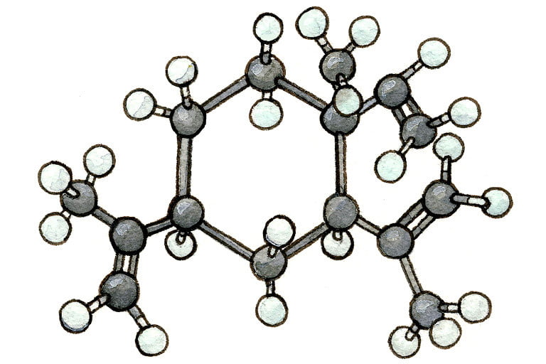 Beta-elemene101309_3x2