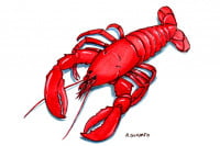 Chitosan007_3x2