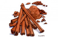 Cinnamon_3x2