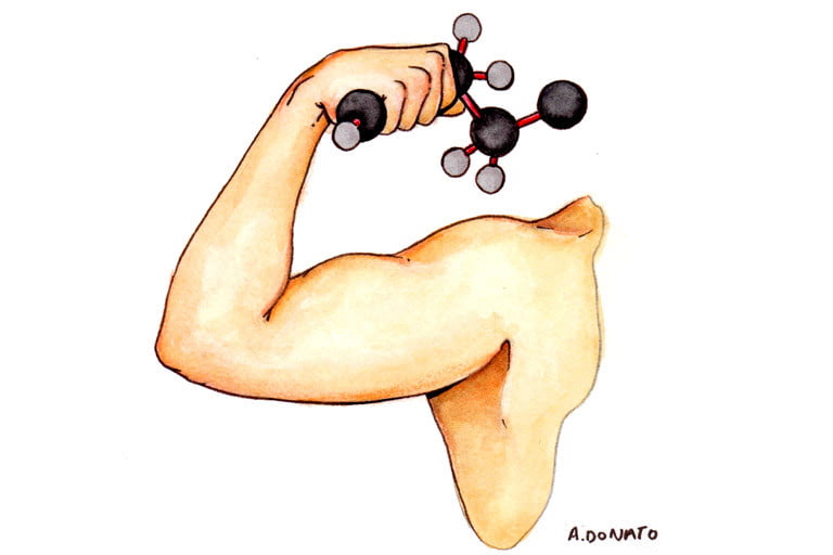 Conjugated-Linoleic-Acid004_3x2