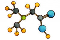 Dimethylglycine005_3x2