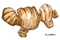 Ginger_3x2