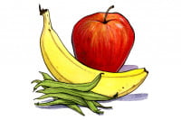 Glyconutrients101309_3x2