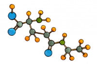 L-Theanine033_3x2