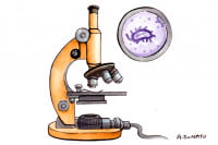 Livingston-Wheeler-Therapy001_3x2