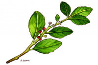Mate_3x2