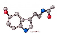 Meletonin004_3x2