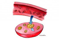 Metabolic-Therapies003_3x2