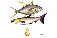 Omega-3_3x2