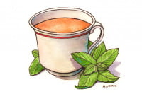 Peppermint_3x2