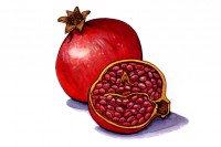 Pomegranate006_3x2