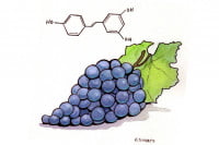 Resveratrol004_3x2