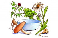 Sun-Farms-Vegetable-Soup001_3x2