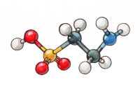Taurine_3x2