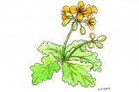 Ukrain004_3x2