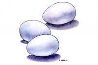 Vitamin-A007_3x2