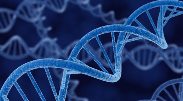 Genetics Contributes To Mental Health Risks In Adoptees