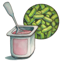 probiotics