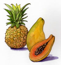 proteolytic-enzymes007