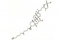 squalamine_3x2